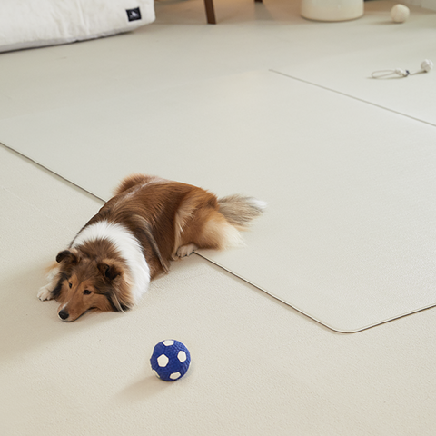 Alfombra de Juego Ecológica de PVC para Mascotas, Suave, Antideslizante, de Espuma, para Perros y Gatos, Sala de Juegos, Gateo, Yoga for sale at factory direct price
