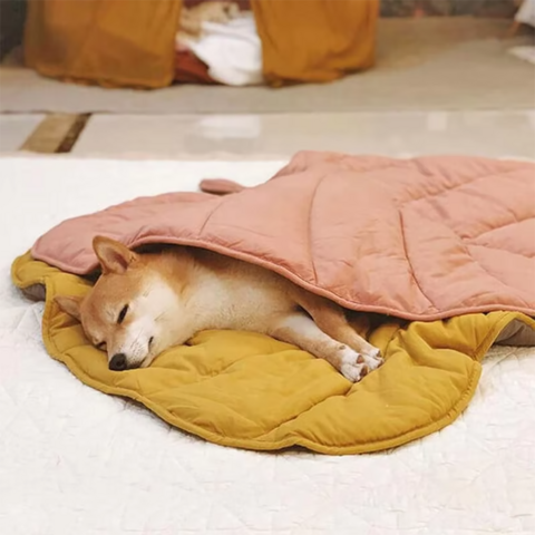 OEM ODM Pack Öko-Garn Kleine Schlafmatte Bett mit Luxus für Hunde Weiche Fleece Winter Warme Haustierdecke