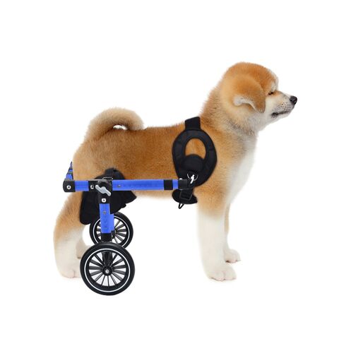 Alat Bantu Jalan/Rollator Anjing Peliharaan Paduan Aluminium Ringan yang Dapat Disesuaikan - Perakitan Mudah dengan Bantuan Berjalan Kaki Belakang yang Cacat for sale at factory direct price