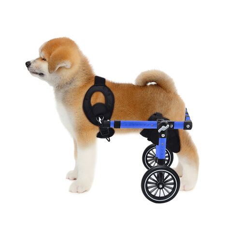 Novo Andador de Reabilitação para Cães e Cadeira de Rodas Rollator - Boosters de Assistência à Caminhada para Exercício Canino for sale at factory direct price