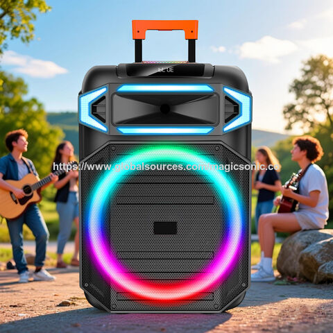 Nouvelle enceinte Bluetooth sans fil privée haute qualité sonore 18 pouces en promotion