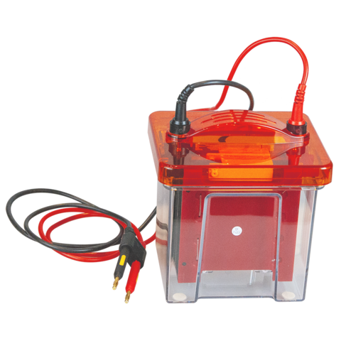 Mini Sistema Vertical de Transferencia (BG-verBLOT) for sale at factory direct price