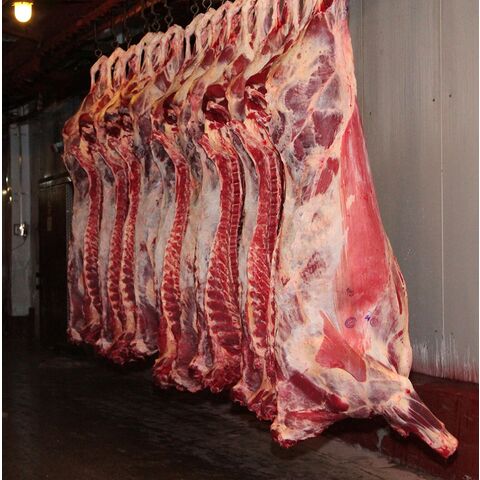 Viande de buffle congelée désossée Carcasse de bœuf congelée/Morceaux de bœuf congelés/Viande de bœuf Carcasse de bœuf congelée/Morceaux de bœuf congelés