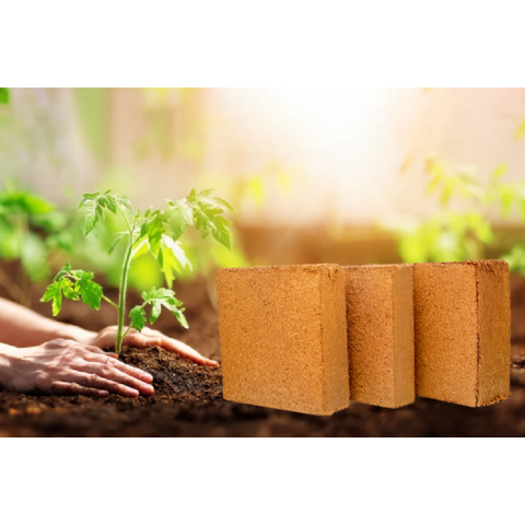 Bloc de Coco Peat 5kg - Fibre de Coco Cocopeat de Noix de Coco pour Agriculture et Jardinage