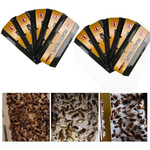 Factory Customization Extra-strong Adhesive Cockroach Traps, Control ...