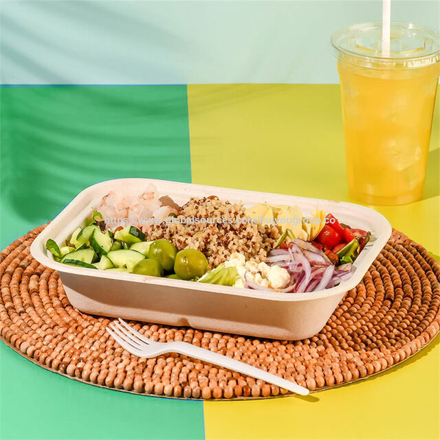 Paper Bowls Bagasse Pulp Molded Paper Bowl Paper Plate Biodegradable Takeaway Food Container for sale at factory direct price