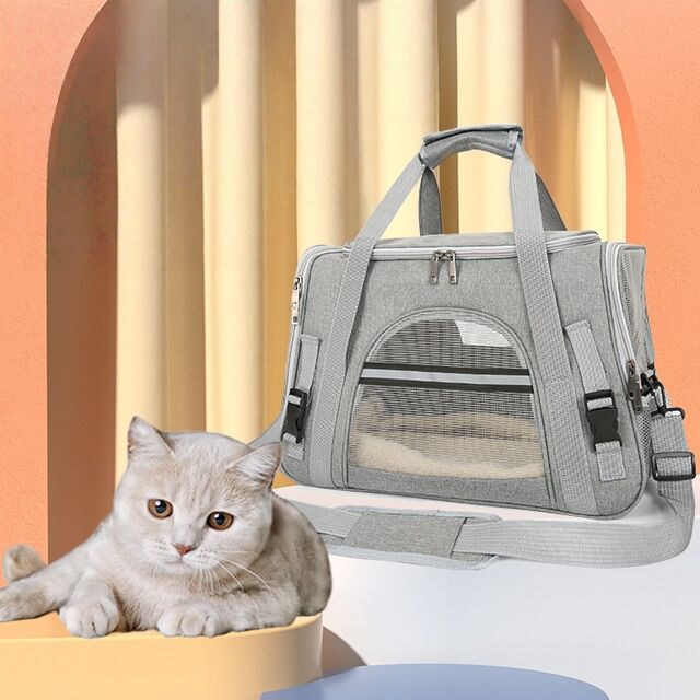 Atmungsaktiver, faltbarer Katzenrucksack, einfache, tragbare Haustiertasche, tragbarer Katzenkäfig für den Außenbereich, faltbare Haustiertasche for sale at factory direct price