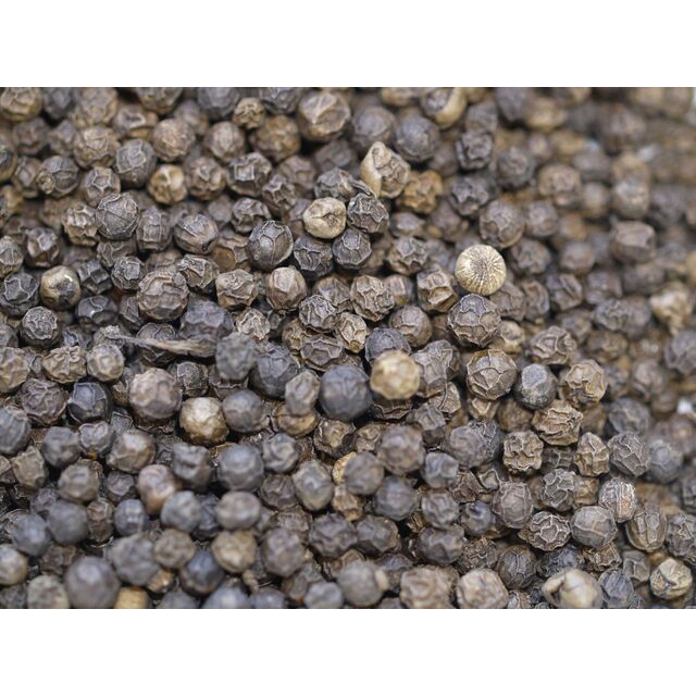 شراء وبيع الفلفل الأسود الطازج من البرازيل ومدغشقر والهند for sale at factory direct price