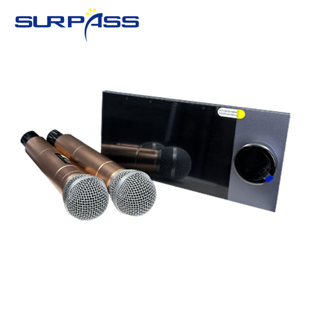 Smart WIFI Bluetooth Android 11 System, 2-Zonen-Wiedergabe, 4-Zonen-Steuerung, kommt mit 2 drahtlosen Mikrofonen for sale at factory direct price