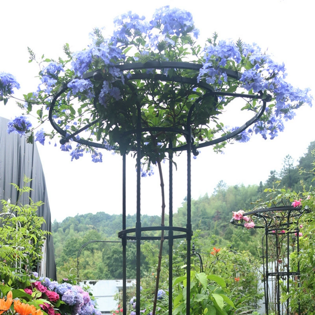 Umbrella-shaped Rose Climbing Pergola Plant Flower Support Stand Outdoor  Assembly Flower Pots & Planters - China Wholesale Floor Plant Stand $8.49  from Skylark Network Co., Ltd | Globalsources.com