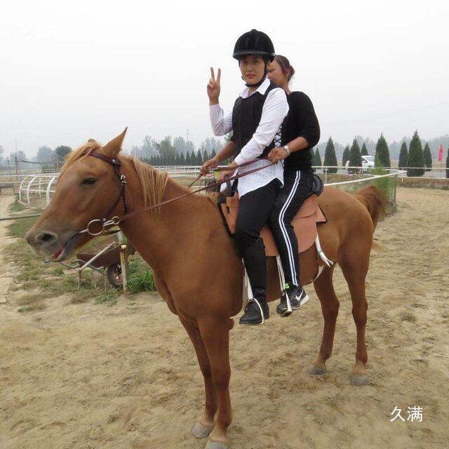 Gilet de Protection Équestre zippé - Vêtement d'équitation et d'entraînement for sale at factory direct price