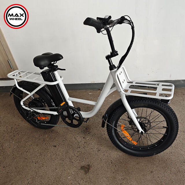 Neuheit 2025: 20-Zoll-Elektro-Citybike mit Gepäckträger, E-Bike EB8 EBIKE für Erwachsene mit 500W-Motor, OEM-Hersteller, heiß begehrt