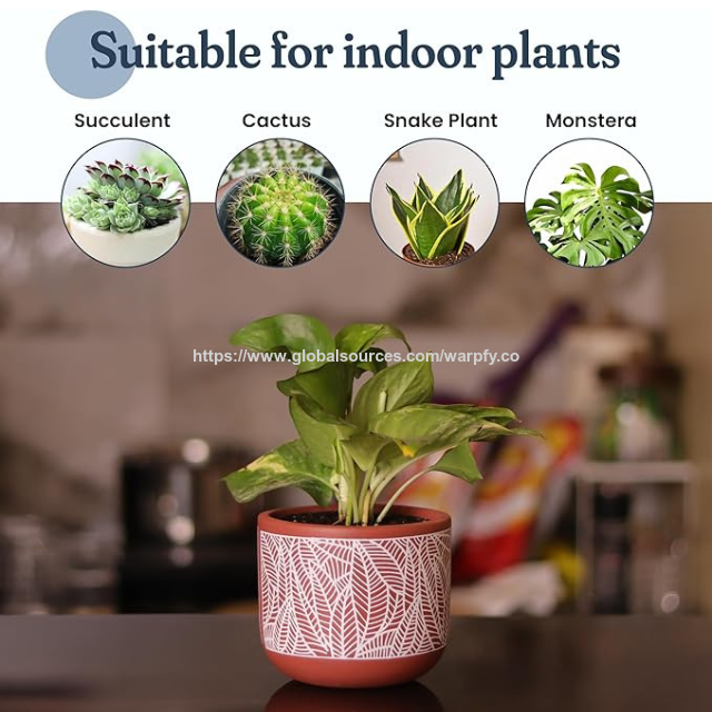 Pots de fleurs en terre cuite Boho personnalisables à prix d'usine - Pots d'intérieur et d'extérieur fabriqués par ODM/OEM pour une décoration moderne
