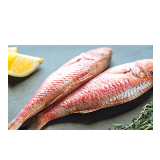 Frozen Red Mullet Fish For Sale Fresh Seafood Premium Quality Available Wholesale Direct From Supplier At Cheap Price