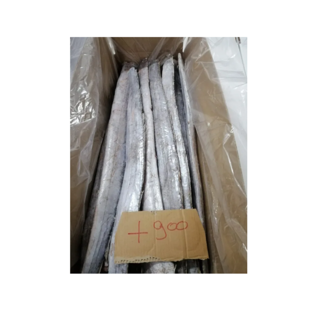 Best Price Frozen Ribbon Fish HGT Fresh Frozen Seafood Wholesale Supplier Providing Bulk Export Service