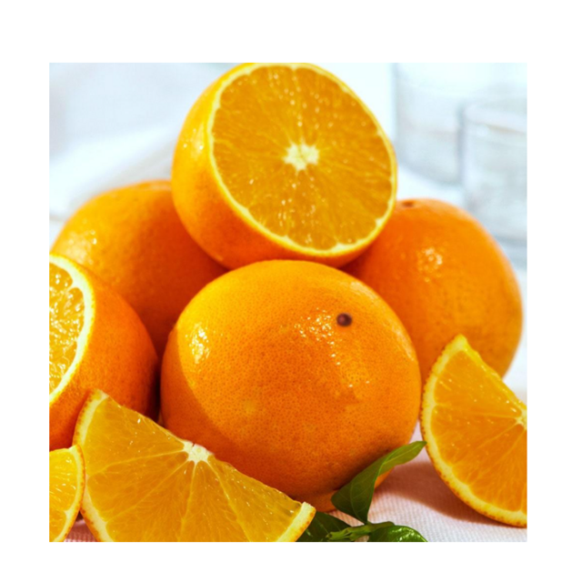 Frische Valencia-Orangen zu verkaufen, günstiger Großhändler bietet süße, saftige Orangen mit leuchtender Farbe und hoher Qualität für den Export for sale at factory direct price