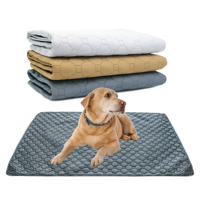 Almohadilla Reutilizable y Lavable para Orina de Perro, Alfombra Impermeable y Absorbente para Entrenamiento de Cachorros y Gatos, Ideal para Asientos de Coche, Suelos y Sofás - Suministros para Mascotas for sale at factory direct price