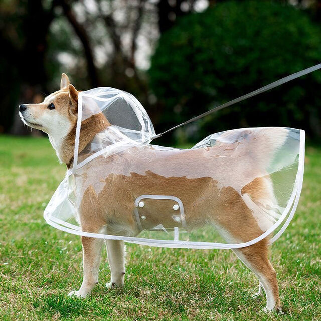 Vente en gros Imperméable Transparent pour Chien avec Capuche, Veste de Pluie Imperméable pour Animaux de Compagnie avec Trou pour Laisse for sale at factory direct price