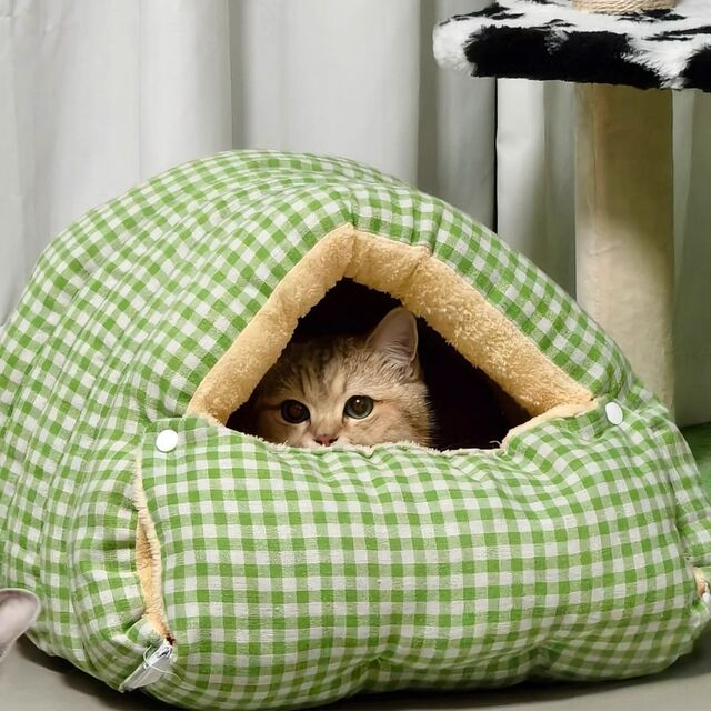 Lit Grotte pour Chat en Peluche Douce en Gros, Maison de Couchage Intérieure Confortable pour Chats