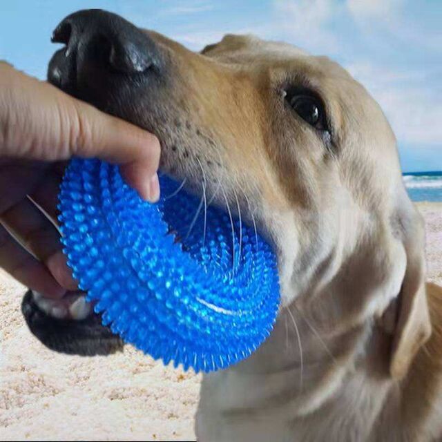 Benutzerdefinierte Hundespielzeuge für aggressive Kauer Donut Hundespielzeug Pool Spielzeug Quietschendes, stacheliges Ring Welpen Beißringe Interaktiver Trainingsring