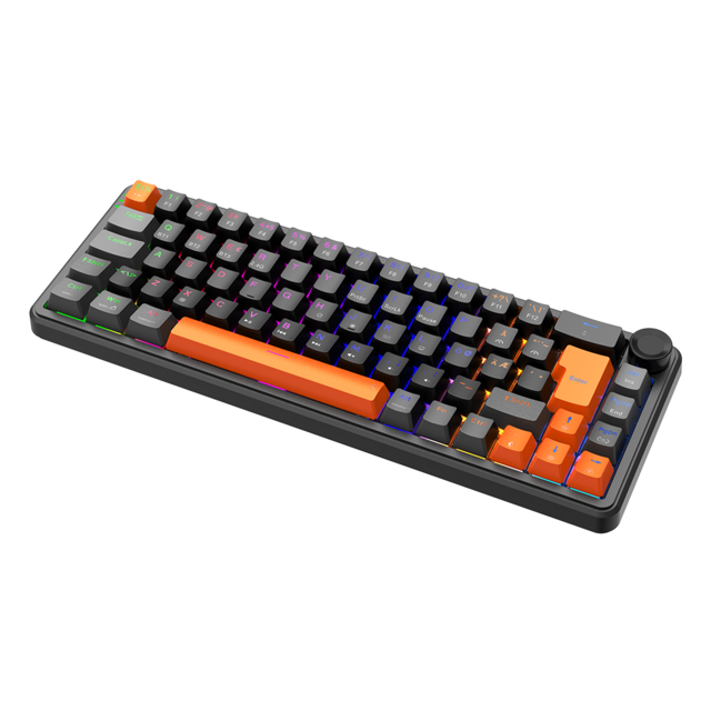Clavier Mécanique 66% Full Black 2025, Plaque en Aluminium, Touches à Double Injection, Taux d'Interrogation 8KHz RT 0.02mm, Éclairage RGB