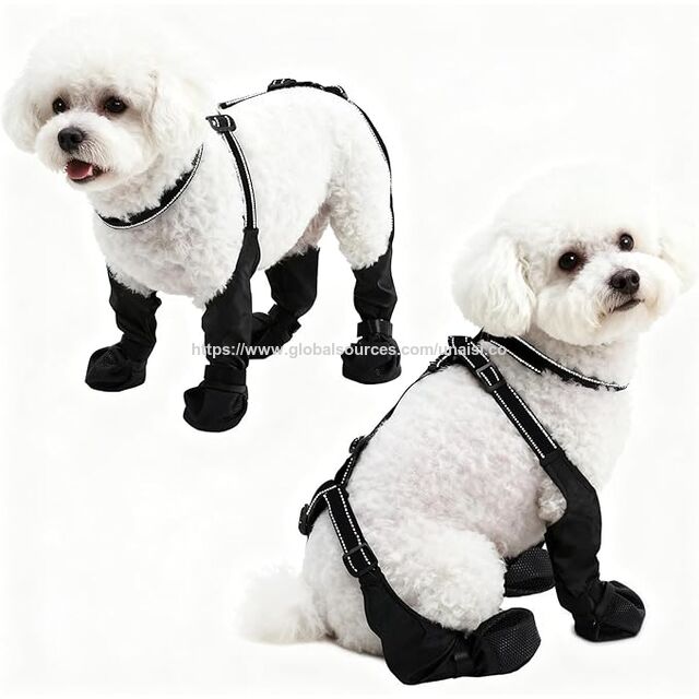 Zapatos Antideslizantes para Perros, Botas Impermeables para Perros Pequeños/Medianos - Garra de Perro for sale at factory direct price