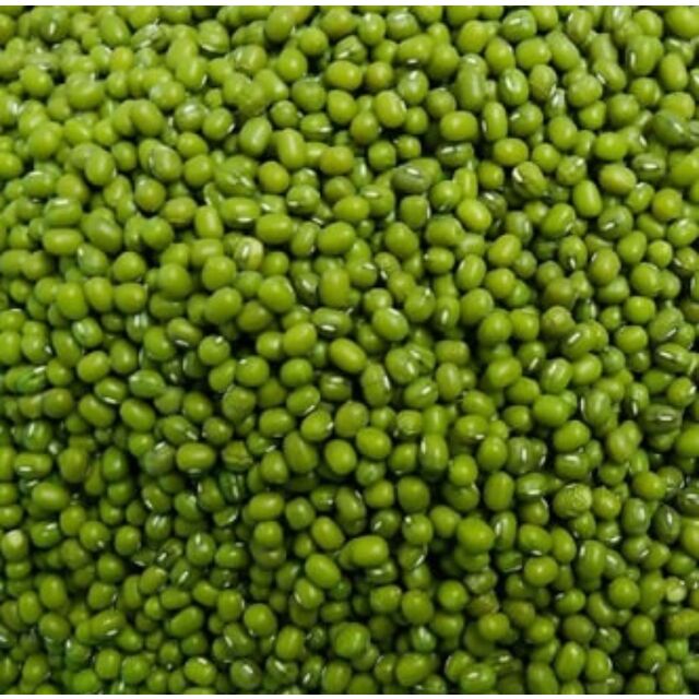 فاصوليا مونج خضراء بالجملة، فاصوليا مونج خضراء مقشورة for sale at factory direct price
