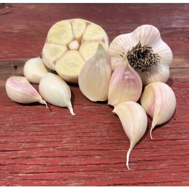 ثوم أبيض طازج ممتاز، تم حصاده حديثًا من محصول عام 2023. متوفر بكميات كبيرة للبيع بالجملة والتصدير. ثوم أبيض طازج for sale at factory direct price