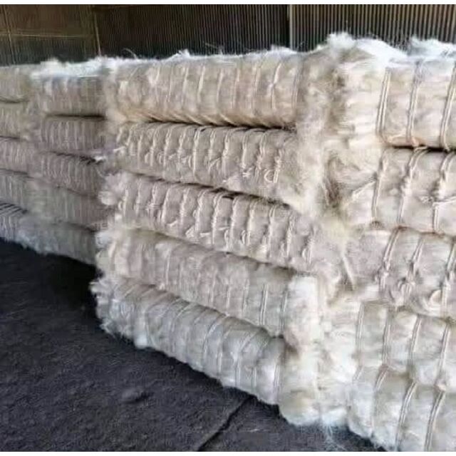 Fibre de Sisal de Qualité Supérieure + Vente en Gros en Vrac Naturelle, durable et écologique, parfaite pour cordes, tapis, artisanat for sale at factory direct price
