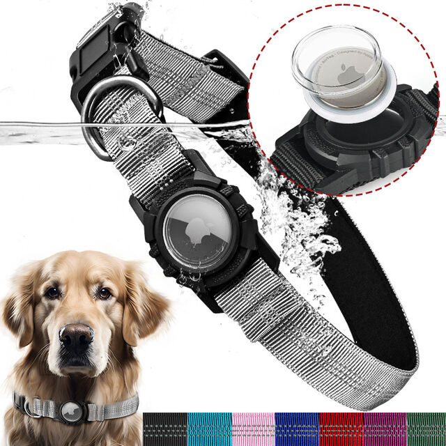 OEM Pet Activity Monitor, Sleep Tracking Calorie Counting for Dog Cat Health Management for sale at factory direct price