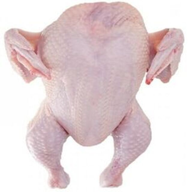 Atacado de frango inteiro congelado do Brasil, pés de frango congelados / Frango inteiro congelado barato pronto para exportar