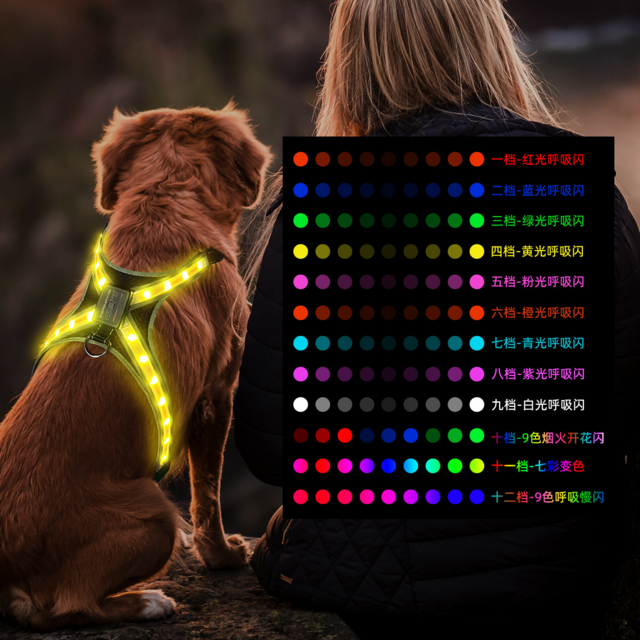 Arnés LED Recargable para Perros RGB Reflectante Ajustable Multicolor de Fábrica, Chaleco de Seguridad para Exteriores con Iluminación Tipo C for sale at factory direct price