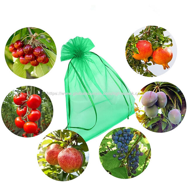 Bolsas de Protección de Frutas Personalizadas, Bolsas de Malla con Cordón de Ajuste de Organza para Árboles Frutales, Bolsa de Cubierta de Malla para Plantas Frutales para Protección