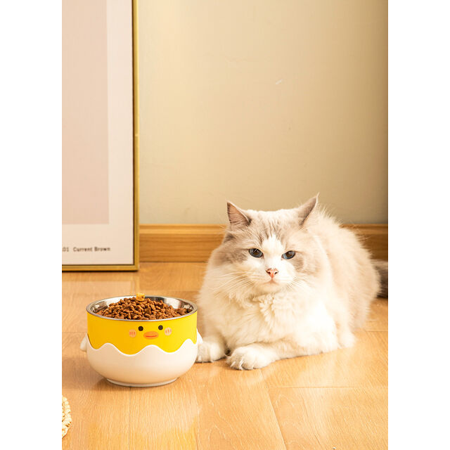 Gamelle Simple pour Animaux de Compagnie Canard Jaune