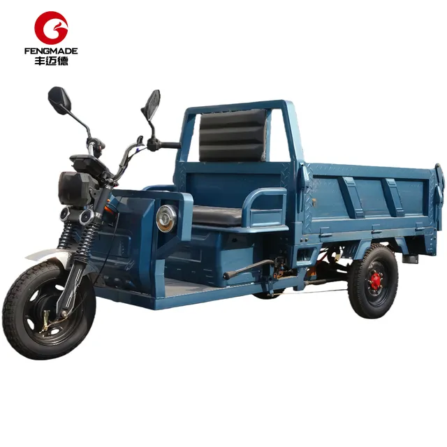 Dreirädriges elektrisches Lastenrad Elektro-Dreirad für Erwachsene