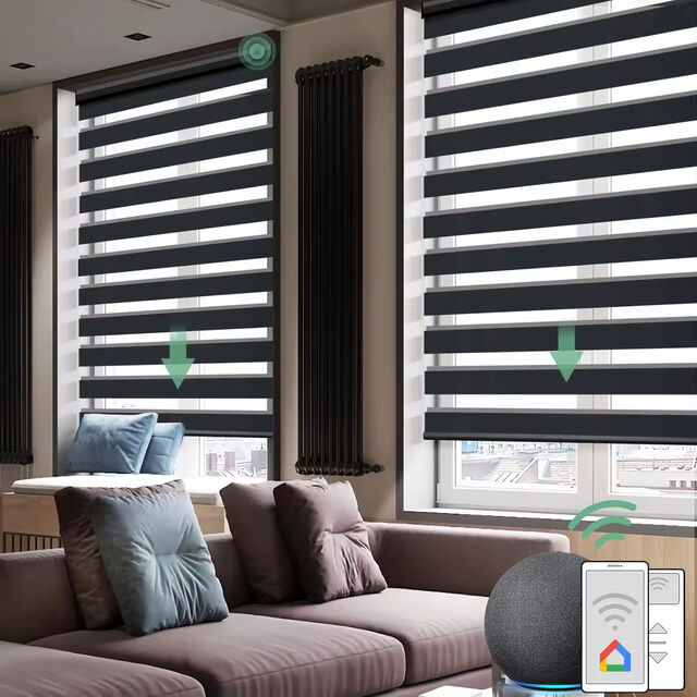Smart Control Electric Double Layer Windows Blinds Easy to Install Dual Zebra Shade Smart Home Zebra Blind for Window for sale at factory direct price