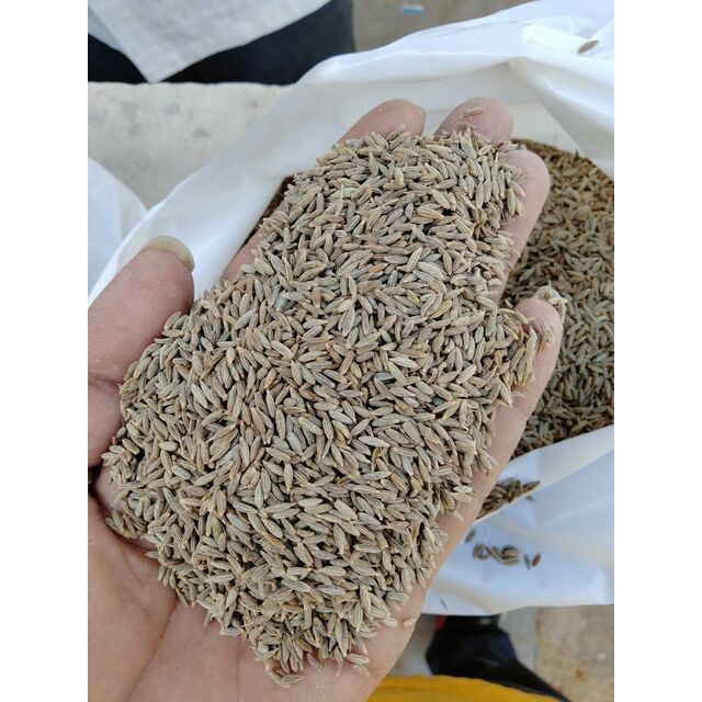 بيع بالجملة بذور الكمون والكاري الخام المجفف عالية الجودة توابل مجففة كمون تقديم عينة for sale at factory direct price