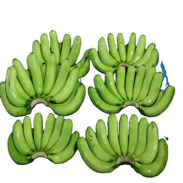 Bananas Cavendish Verdes Frescas Orgánicas al Mejor Precio, 100% Puras y de Alta Calidad al Costo for sale at factory direct price