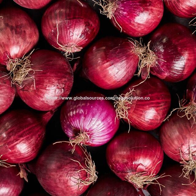 Cebolla: Una hortaliza de amplio consumo, conocida por su sabor, aroma y versatilidad característicos. Se utiliza comúnmente en la cocina y la alimentación. for sale at factory direct price