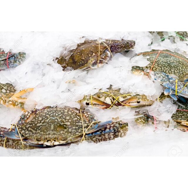 Kepiting Utuh Beku Biru dan Kepiting Lumpur Kualitas Makanan dengan Opsi Pemotongan, Umur Simpan 18 Bulan for sale at factory direct price