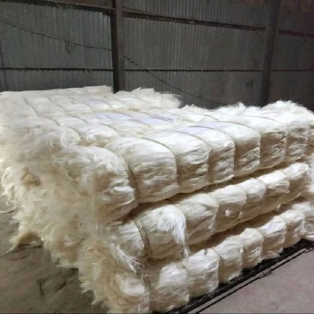 Prix d'Usine Fibre de Sisal Grade UG - Fibre Naturelle Écologique Résistante aux Produits Chimiques pour la Filature - Fournisseur Fabricant Meilleure Qualité for sale at factory direct price