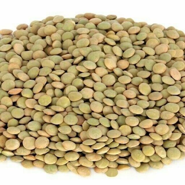 Lentilles Tous Types - Rouges, Vertes, Marrons, Jaunes - Lentilles Séchées en Gros - Lentilles Rouges en Gros - Haricots Lentilles en Vrac