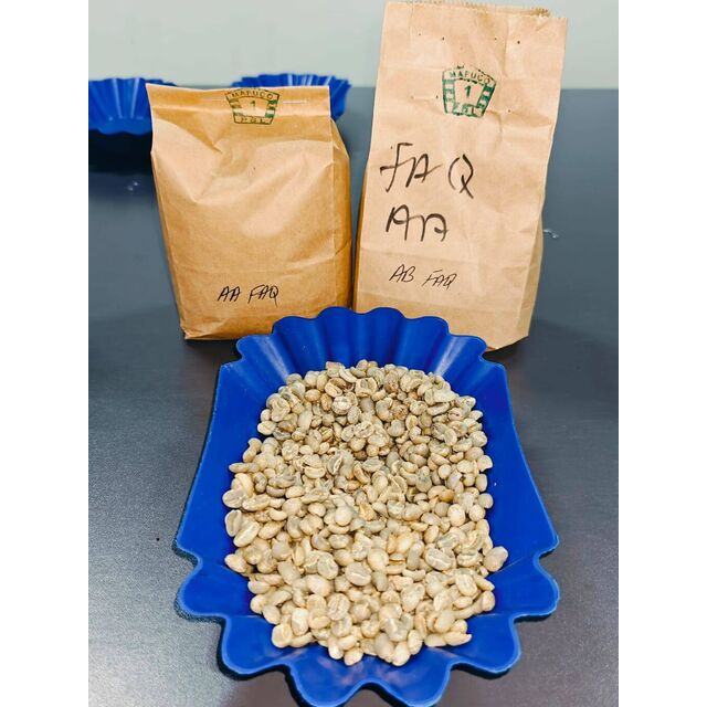 Grãos de Café Arábica de Boa Qualidade para Exportação - Entrega Rápida - Compre Café Premium