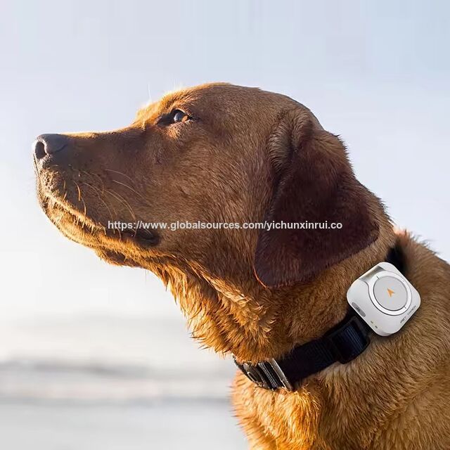 Mini 4g GPS Tracker Anti-lost GPS Tracking Device for Kids/Elderly/Dogs/Cats Fitness Tracker for sale at factory direct price
