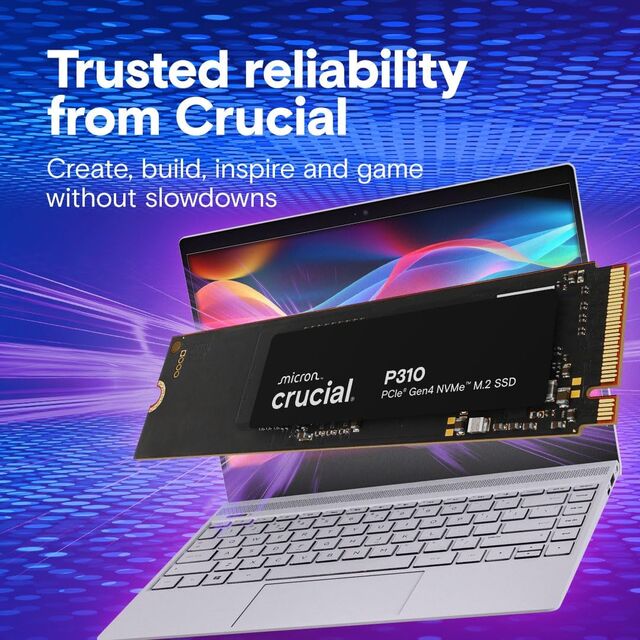 P310 1TB SSD, PCIe Gen4 NVMe M.2 2280, Up to 7,100MB/s, for Laptop, Desktop (PC), & Handheld Gaming Consoles, Includes Acronis Dat
