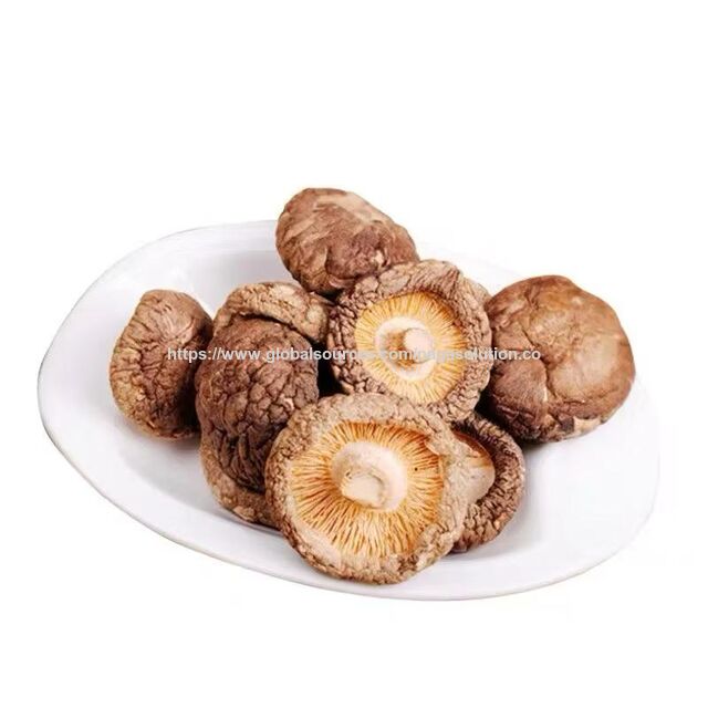 Jamur Shiitake Segar dan Bersih dari Thailand - Pemasok Grosir Jamur for sale at factory direct price
