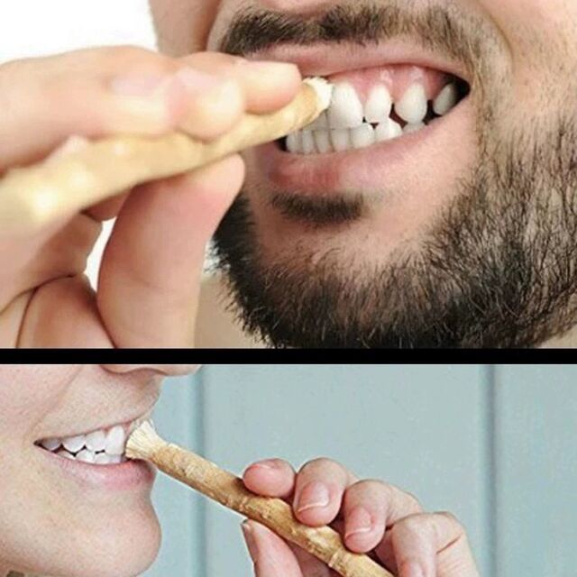 Bâtonnet de Miswak pour les Dents - Brosse à Dents Naturelle de Plante Arabe pour le Nettoyage Dentaire Ancien for sale at factory direct price