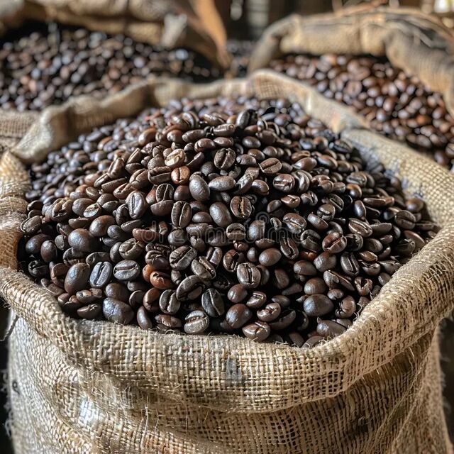 Grains de Café Premium Arabica/Robusta/Café Vert avec Échantillons à Vendre en Gros avec Livraison Rapide for sale at factory direct price