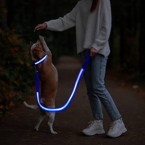 Correa para Perro Recargable por USB con Iluminación JX