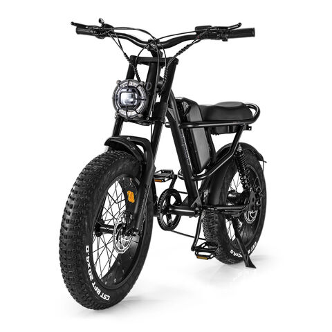 Zwei-Rad-Elektrofahrrad mit 1000W Motor, 15AH Lithiumbatterie, 20"x4.0" Fat-Reifen, EU-Lager for sale at factory direct price
